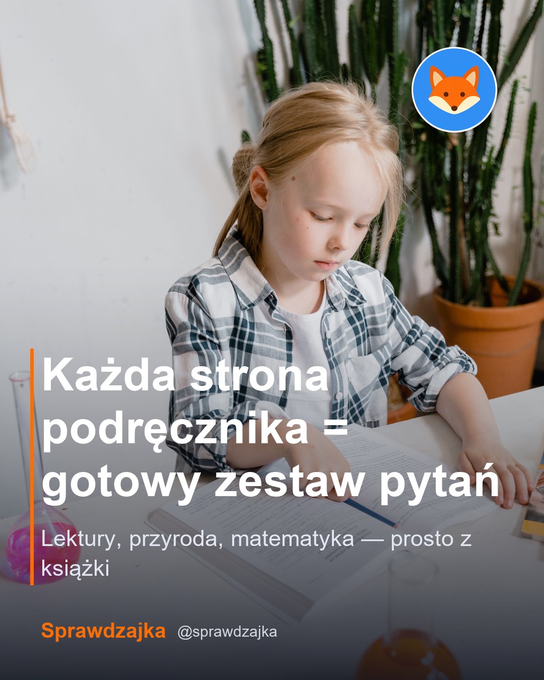 Post Sprawdzajki