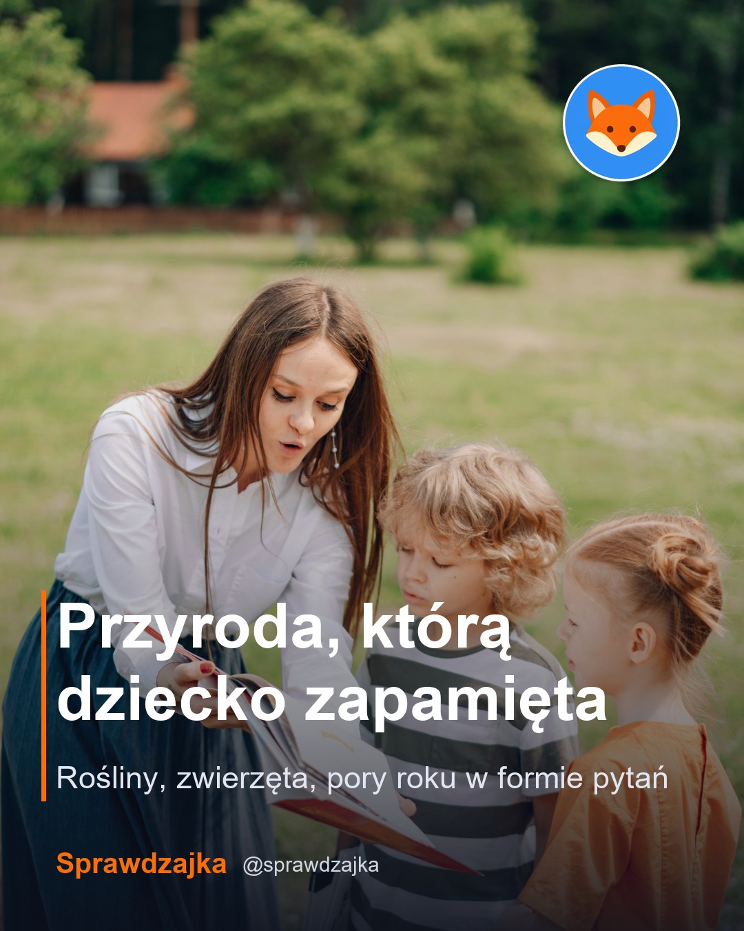 Post Sprawdzajki