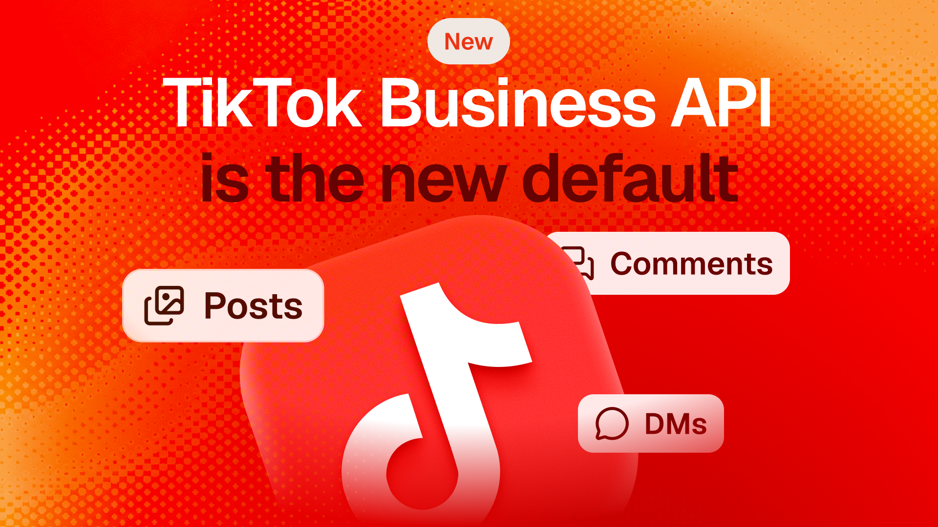 TikTok Business API: posts, comments and DMs