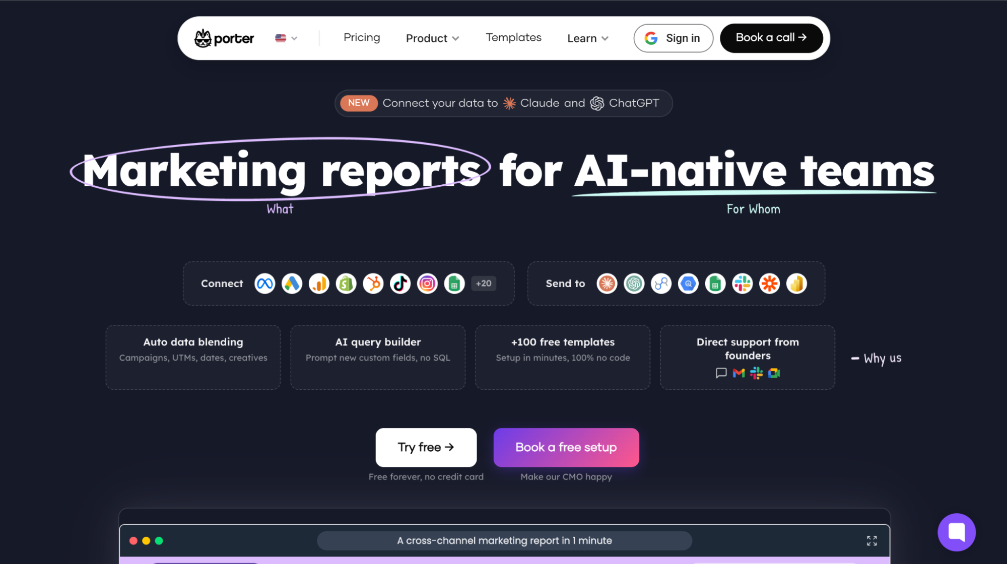 Porter Metrics MCP Server providing read-only TikTok Ads reporting across 26 marketing channels