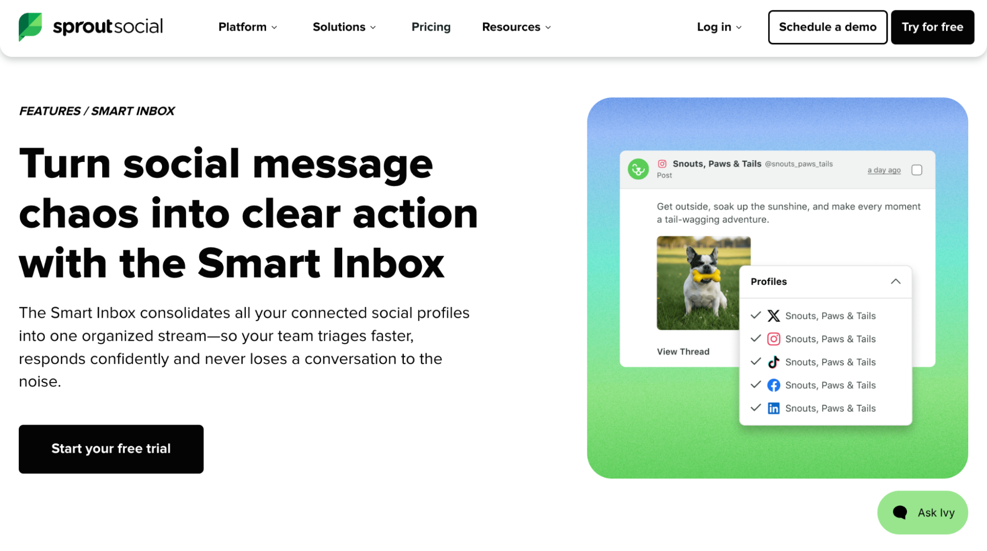 Sprout Social Smart Inbox for managing comments, DMs, and mentions